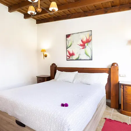 Con Piscina Climatizada, Barbacoa Y Wi-fi En Icod De Vinos - Es-279-19 Icod De Los Vinos