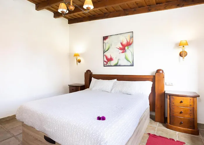 Con Piscina Climatizada, Barbacoa Y Wi-fi En Icod De Vinos - Es-279-19 Icod De Los Vinos